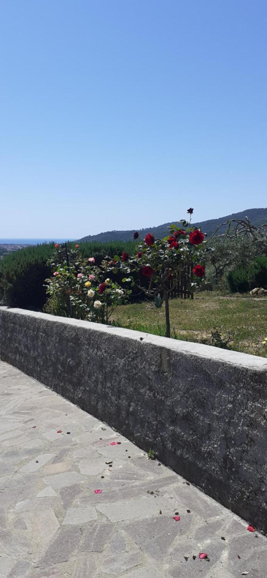 Bellavista Prile *